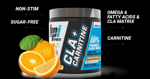 BPI Sports CLA + Carnitine Fat Burner price in pakistan - best fat burner price in pakistan