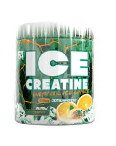 Buy Fitness Authority FA ICE Creatine Monohydrate 60 Servings 300 Grams All Over in Lahore Pakistan, www.arnutrition.pk iS The Best Food Supplements Store In Karachi Pakistan